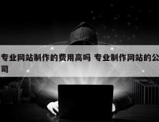 专业网站制作的费用高吗 专业制作网站的公司