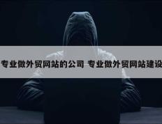 专业做外贸网站的公司 专业做外贸网站建设