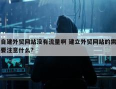 自建外贸网站没有流量啊 建立外贸网站的需要注意什么?