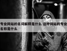 专业网站的名词解释是什么 这种网站的专业名称是什么