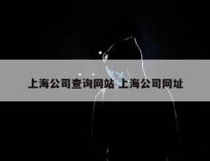 上海公司查询网站 上海公司网址