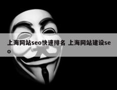 上海网站seo快速排名 上海网站建设seo