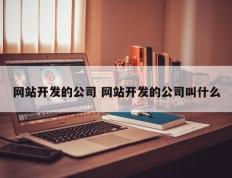 网站开发的公司 网站开发的公司叫什么