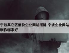 宁波其它区低价企业网站搭建 宁波企业网站制作哪家好