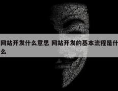 网站开发什么意思 网站开发的基本流程是什么