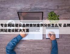 专业网站建设品牌策划案例分析怎么写 品牌网站建设解决方案