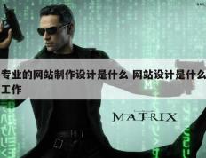 专业的网站制作设计是什么 网站设计是什么工作