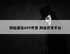 网站建设APP开发 网站开发平台