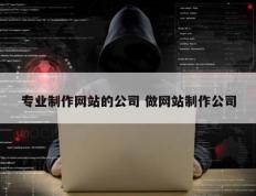 专业制作网站的公司 做网站制作公司