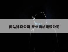网站建设公司 专业网站建设公司