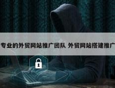 专业的外贸网站推广团队 外贸网站搭建推广