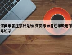 河间米各庄镇长是谁 河间市米各庄镇政府领导班子