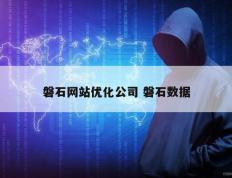 磐石网站优化公司 磐石数据