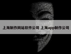 上海制作网站软件公司 上海app制作公司