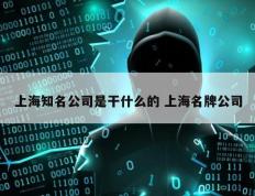 上海知名公司是干什么的 上海名牌公司