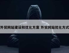 外贸网站建设和优化方案 外贸网站优化方式