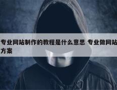 专业网站制作的教程是什么意思 专业做网站方案
