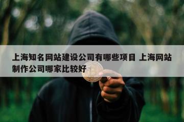 上海知名网站建设公司有哪些项目 上海网站制作公司哪家比较好