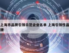 上海市品牌引领示范企业名单 上海引领性品牌