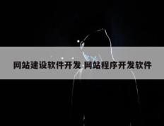 网站建设软件开发 网站程序开发软件