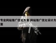 专业网站推广优化方案 网站推广优化设计方案