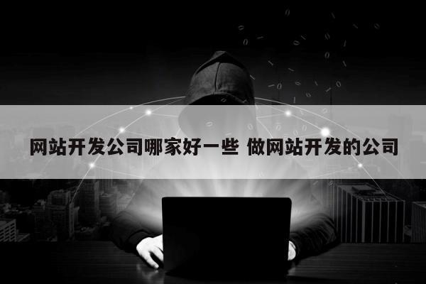 网站开发公司哪家好一些 做网站开发的公司