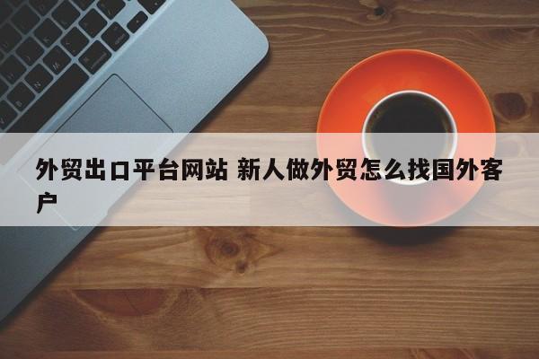 外贸出口平台网站 新人做外贸怎么找国外客户