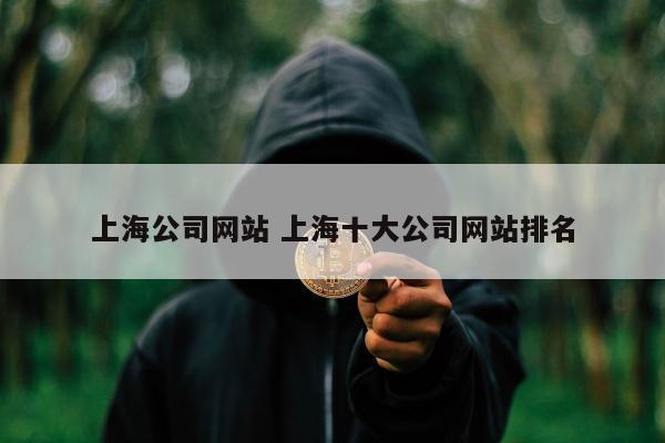 上海公司网站 上海十大公司网站排名