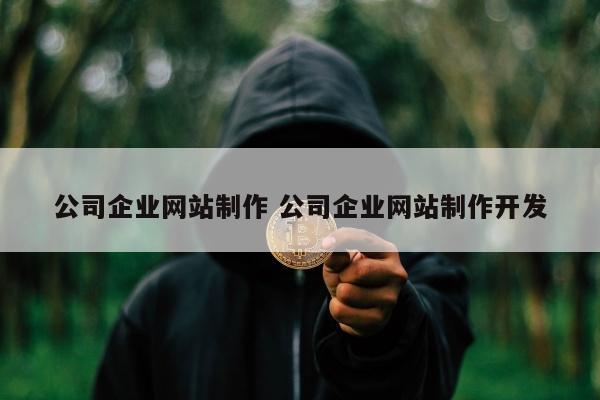 公司企业网站制作 公司企业网站制作开发