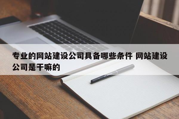 专业的网站建设公司具备哪些条件 网站建设公司是干嘛的