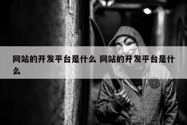 网站的开发平台是什么 网站的开发平台是什么