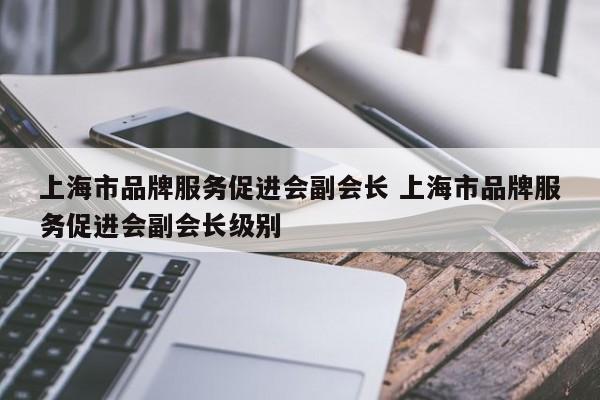 上海市品牌服务促进会副会长 上海市品牌服务促进会副会长级别