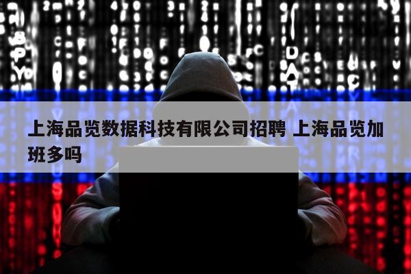 上海品览数据科技有限公司招聘 上海品览加班多吗