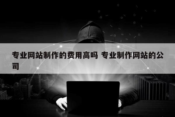 专业网站制作的费用高吗 专业制作网站的公司