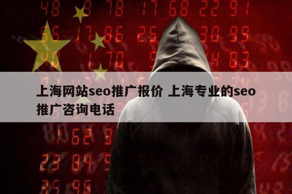 上海网站seo推广报价 上海专业的seo推广咨询电话