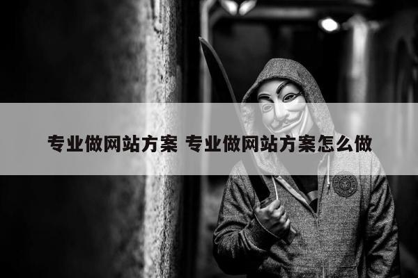 专业做网站方案 专业做网站方案怎么做