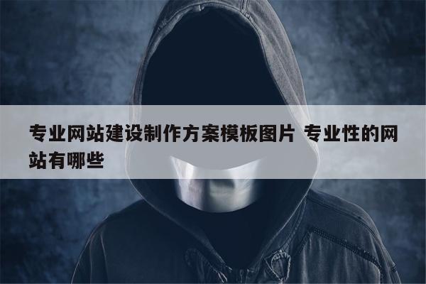 专业网站建设制作方案模板图片 专业性的网站有哪些