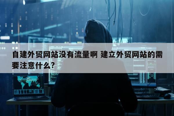 自建外贸网站没有流量啊 建立外贸网站的需要注意什么?