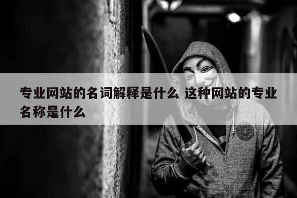 专业网站的名词解释是什么 这种网站的专业名称是什么