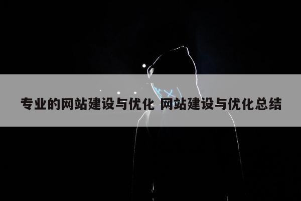 专业的网站建设与优化 网站建设与优化总结