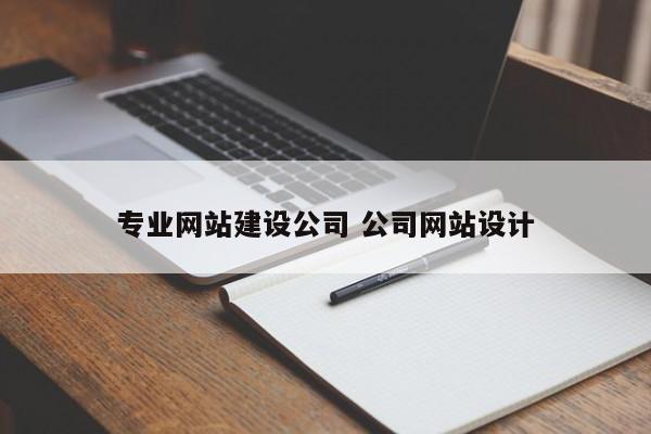 专业网站建设公司 公司网站设计