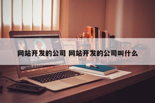 网站开发的公司 网站开发的公司叫什么