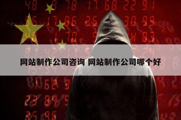 网站制作公司咨询 网站制作公司哪个好