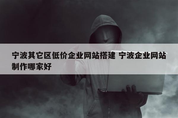 宁波其它区低价企业网站搭建 宁波企业网站制作哪家好